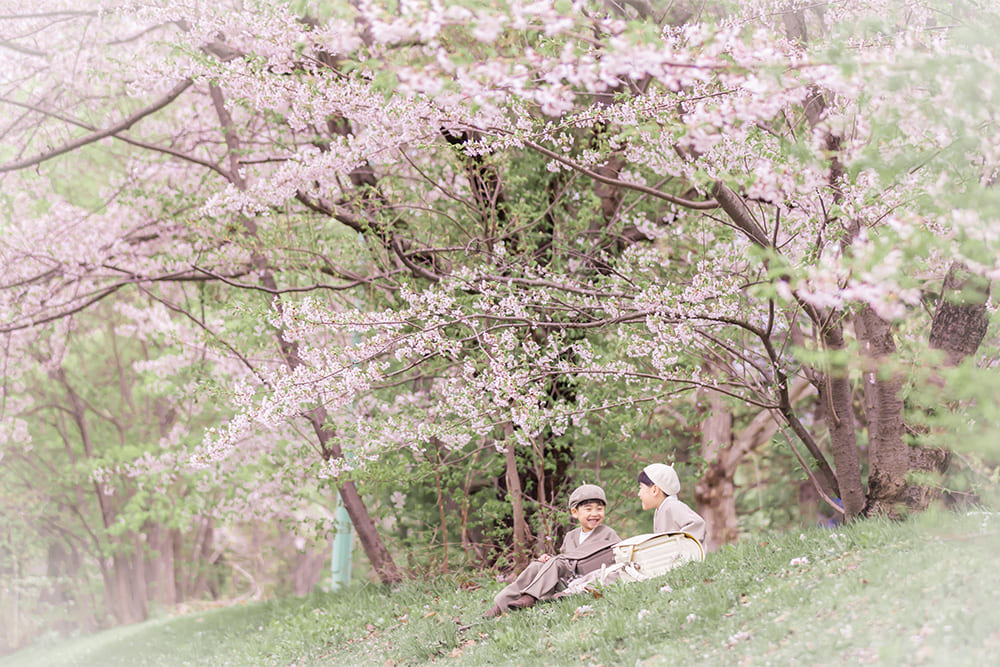発寒川緑地桜ロケーション(入学)(2)