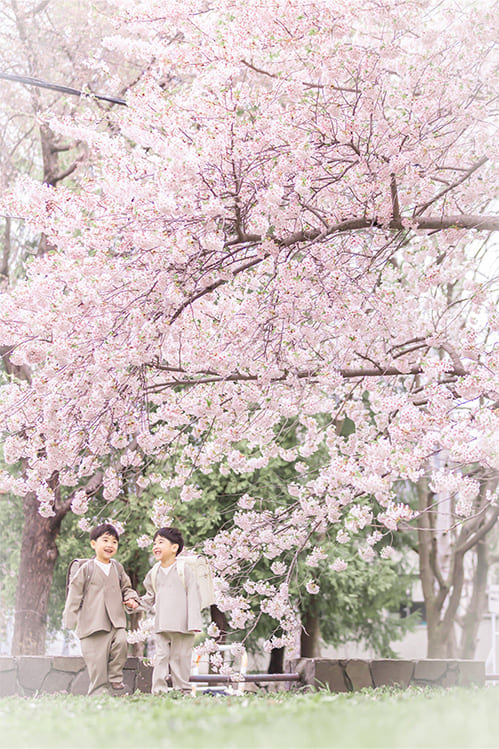発寒川緑地桜ロケーション(入学)(4)