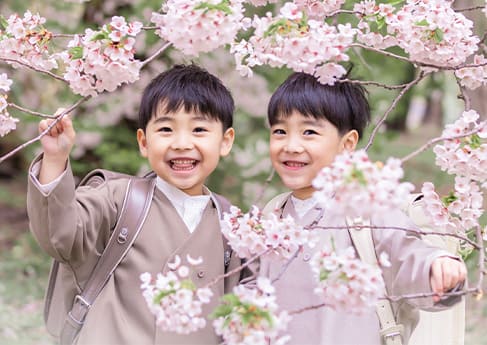 七五三写真 発寒川緑地桜ロケーション(入学)