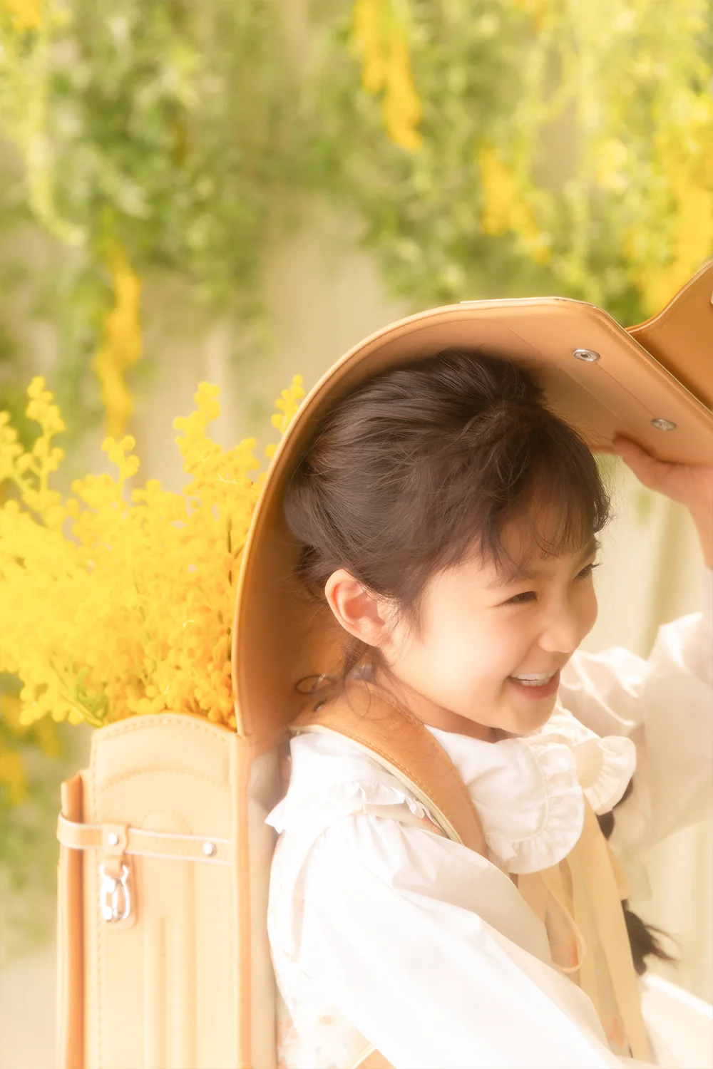 Little mimosa Bloom(5)