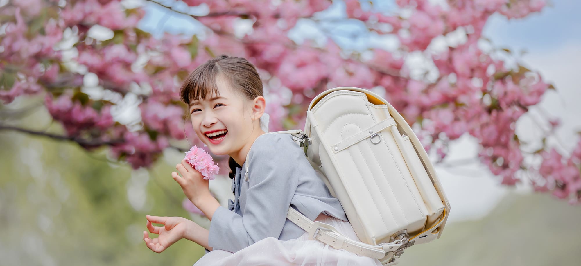 西野緑道入学桜ロケ(1)