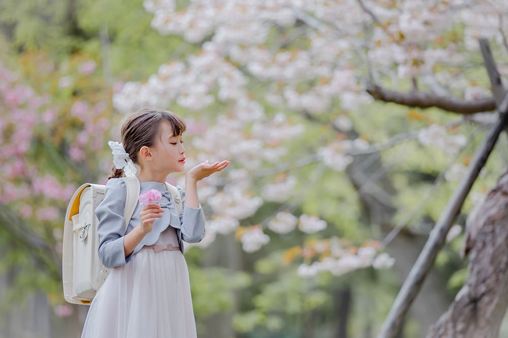 西野緑道入学桜ロケ(2)