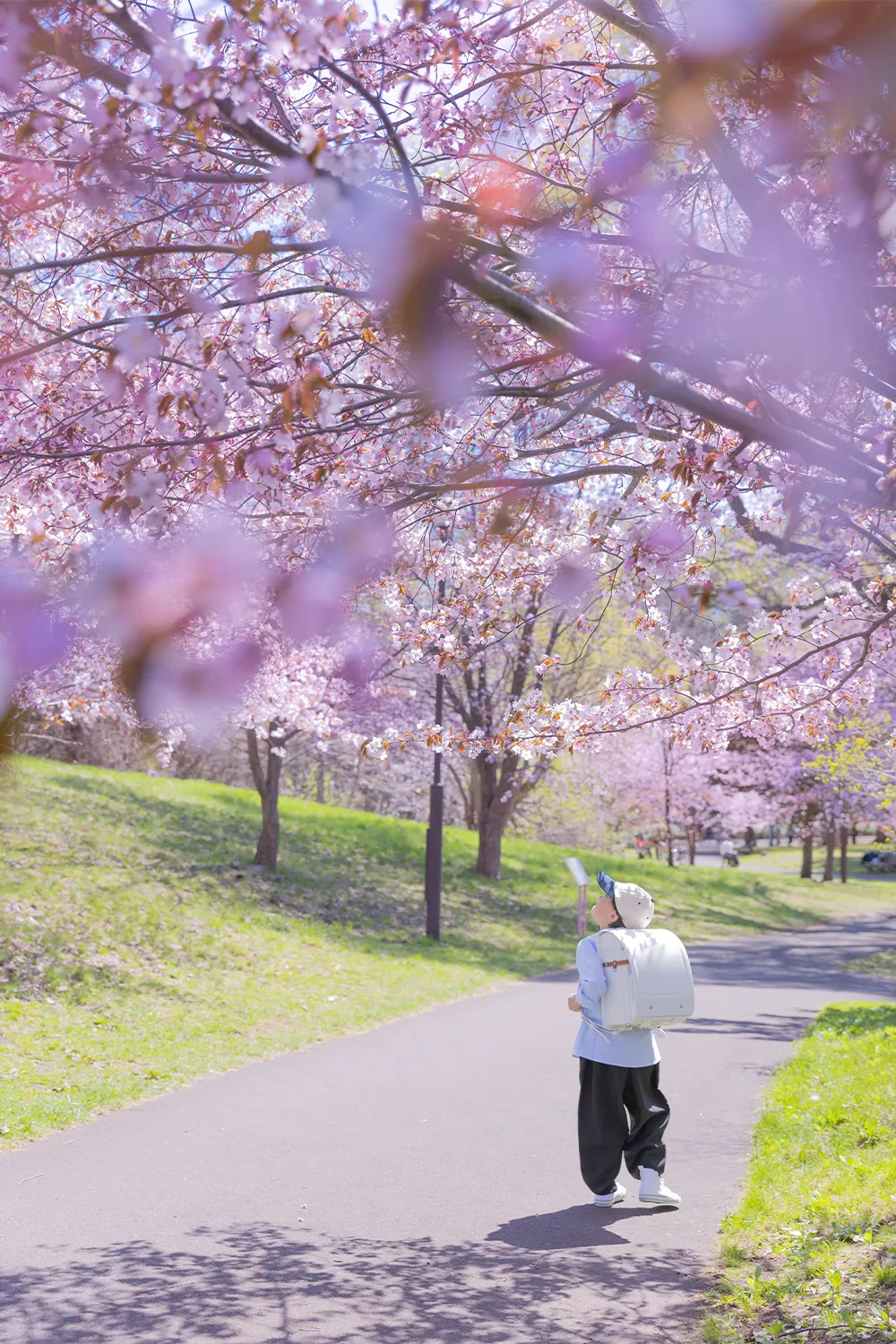 精進川河畔公園ロケ(和)(2)