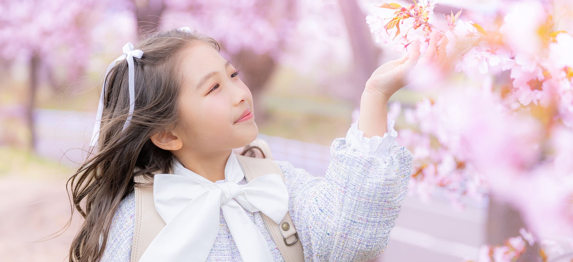 Soft spring memory(1)