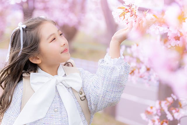 Soft spring memory(1)