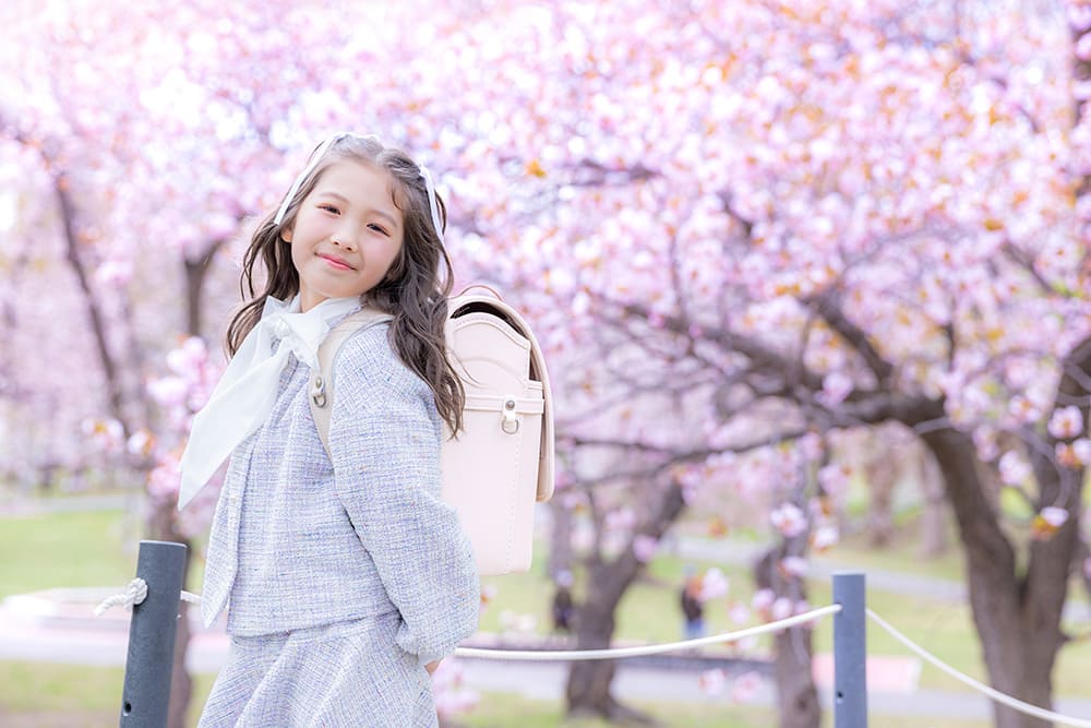 Soft spring memory(2)