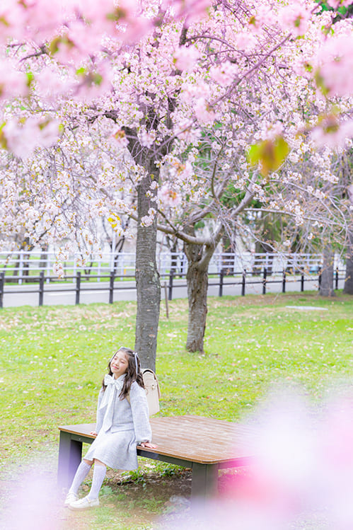 Soft spring memory(4)