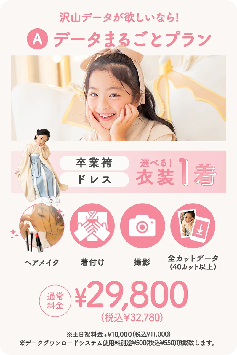 データまるごとプラン