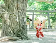 スタジオ紹介「ロケーション」(9)