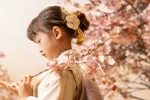 スタジオ写真「和桜」(01)