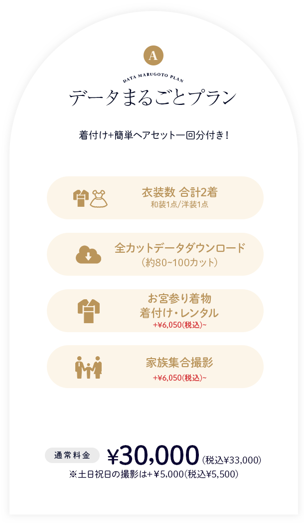 データまるごとプラン