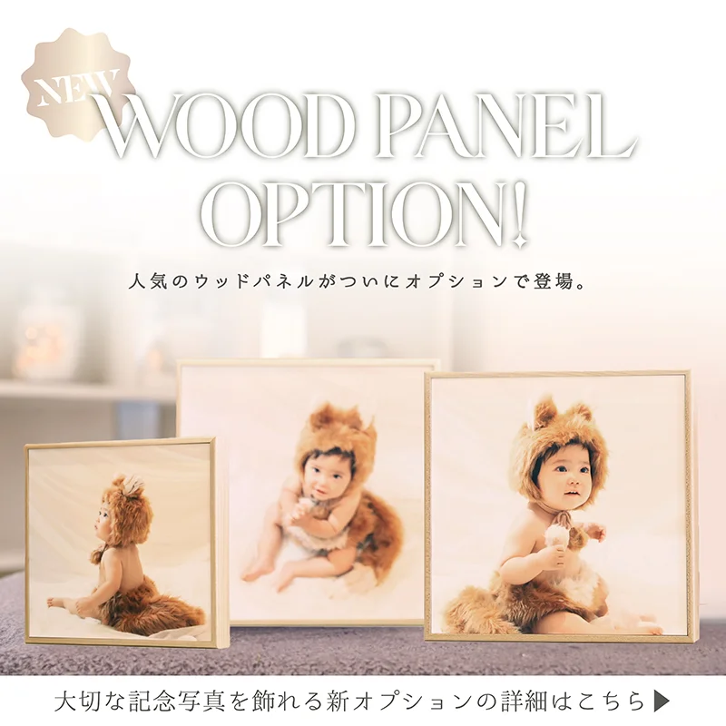 ウッドパネルオプション