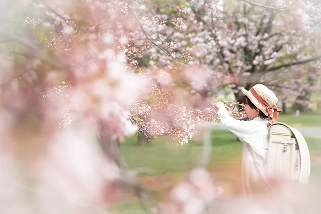 ロケーション撮影