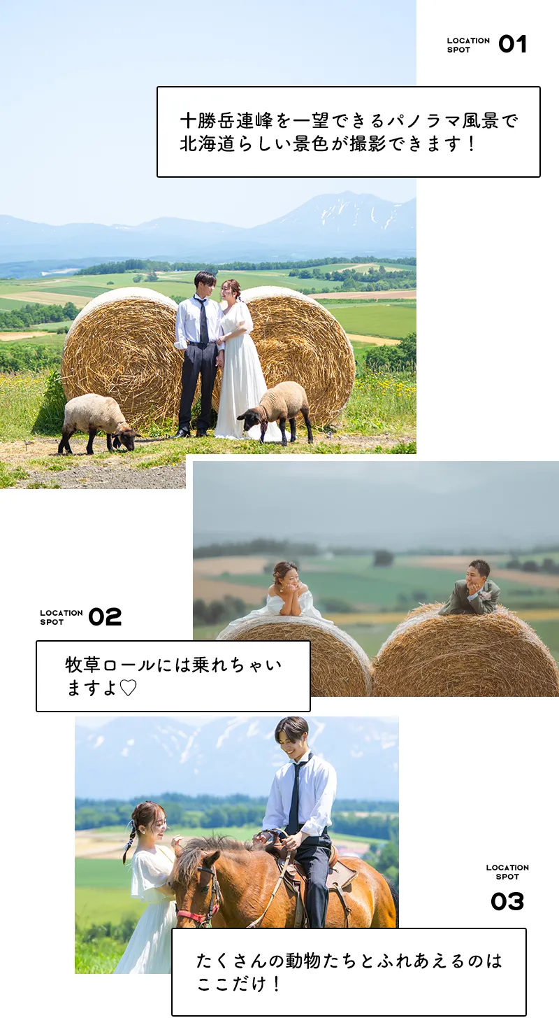 千代田ファーム