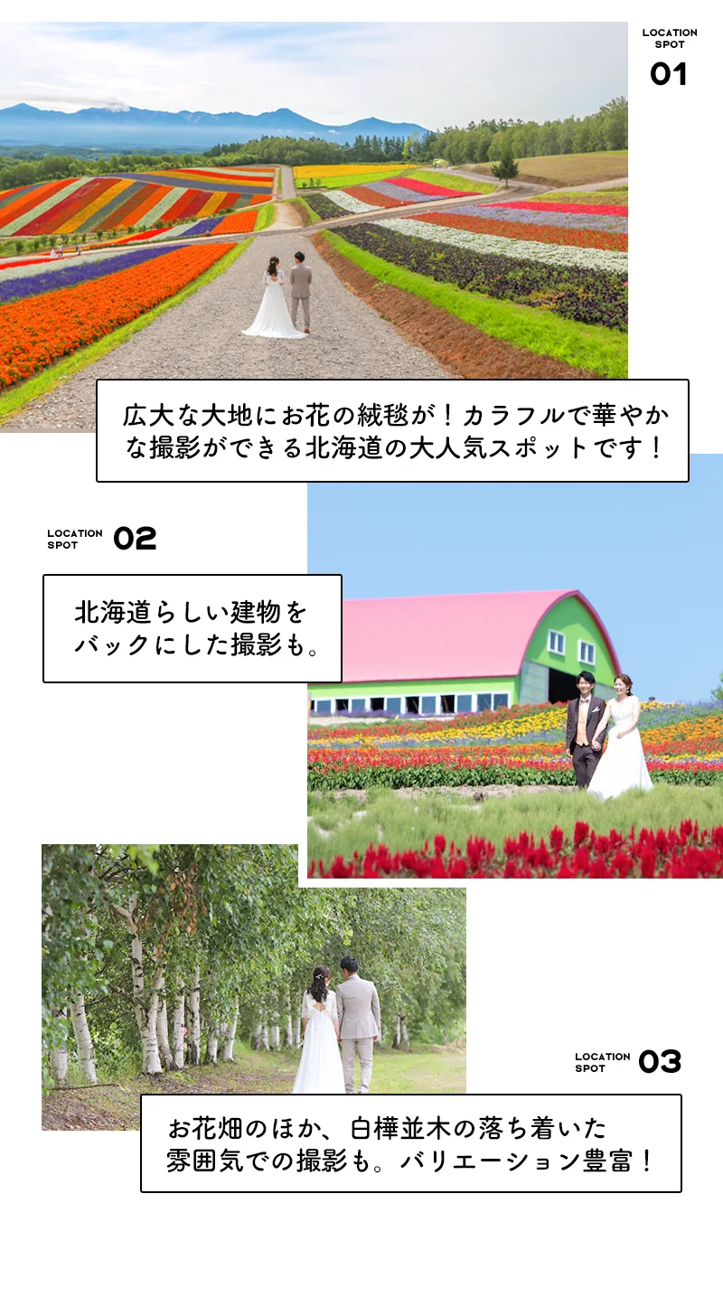 美瑛 四季彩の丘