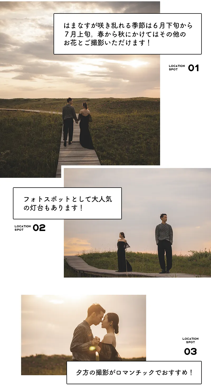 はまなすの丘公園