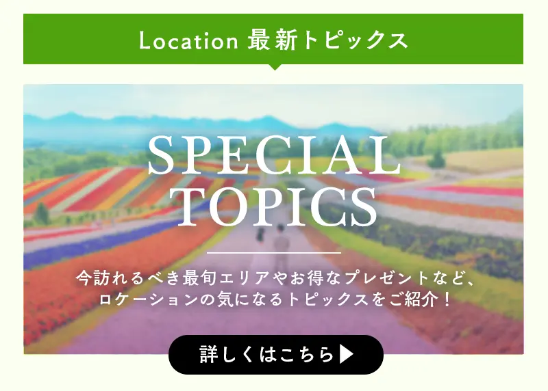 今月のロケーションプランのキャンペーン