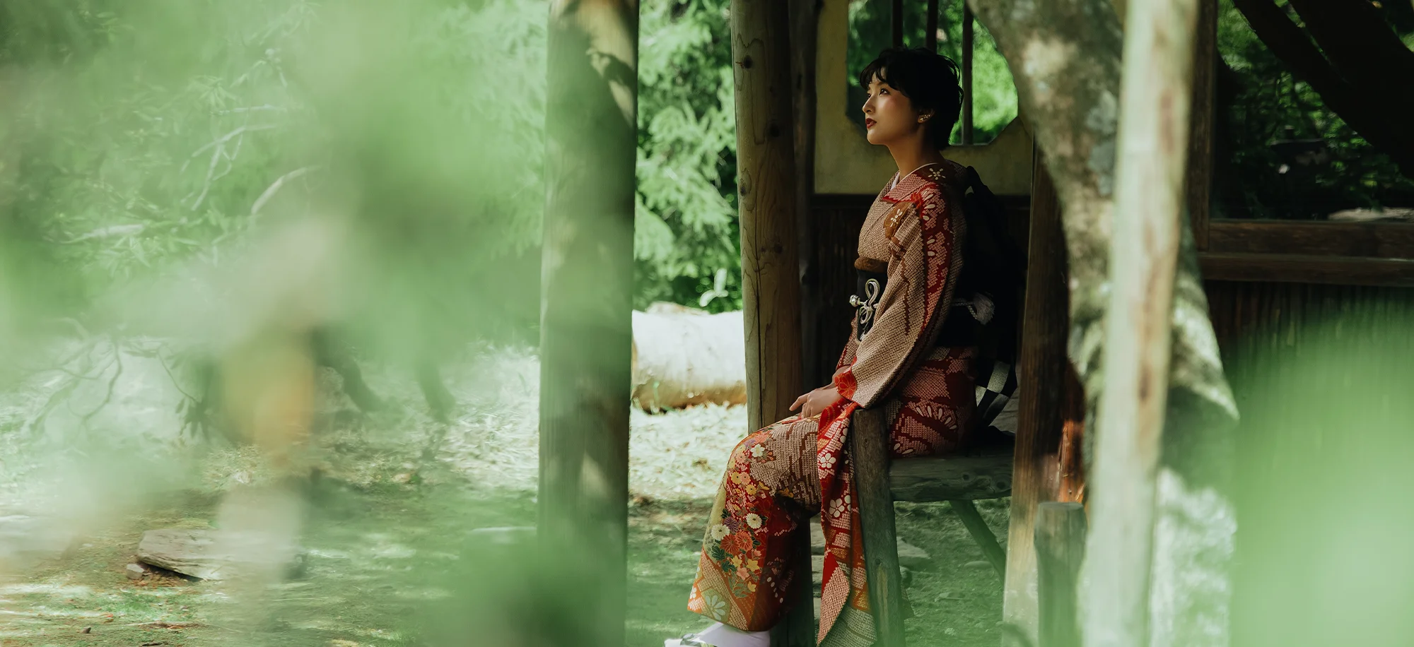 傘花(1)