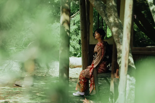 傘花(1)