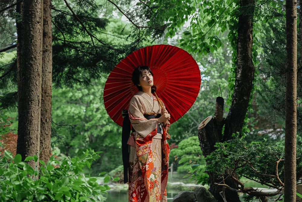 傘花(1)