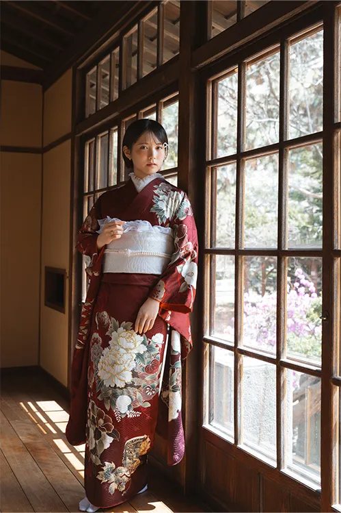 Soft Tradition(2)