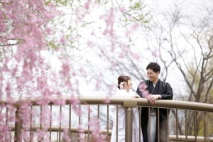 桜と一緒のロケ撮影♡ 予約するなら今がチャンス！！！