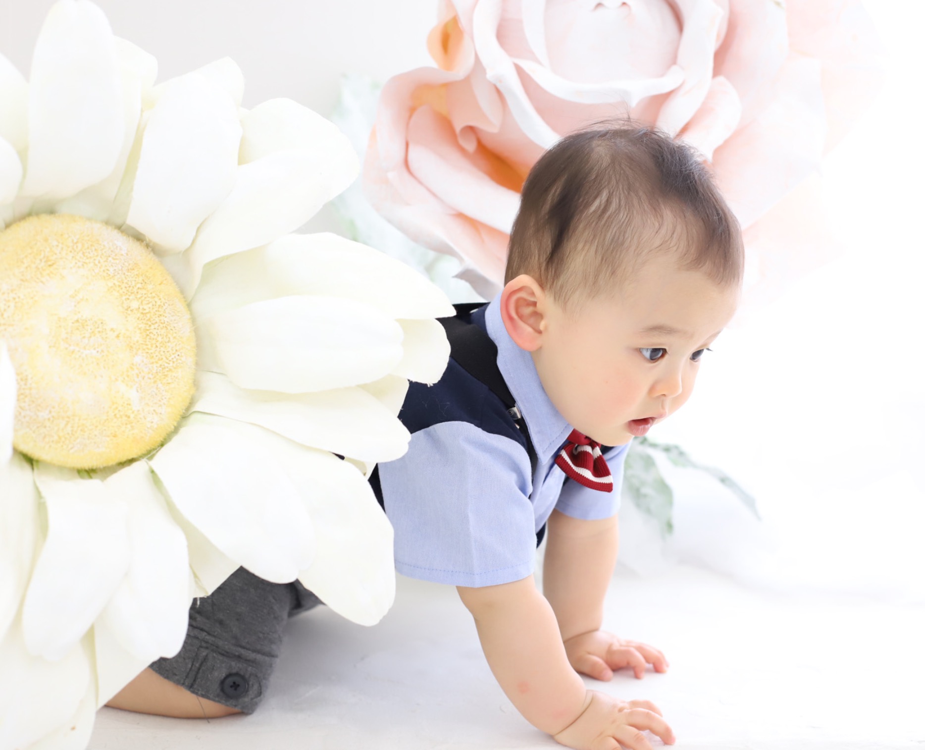 ６ヶ月記念 子供の ハーフバースデー って撮影する 1歳記念とまとめてでok プロが解説します 子育て 写真工房ぱれっと東京project