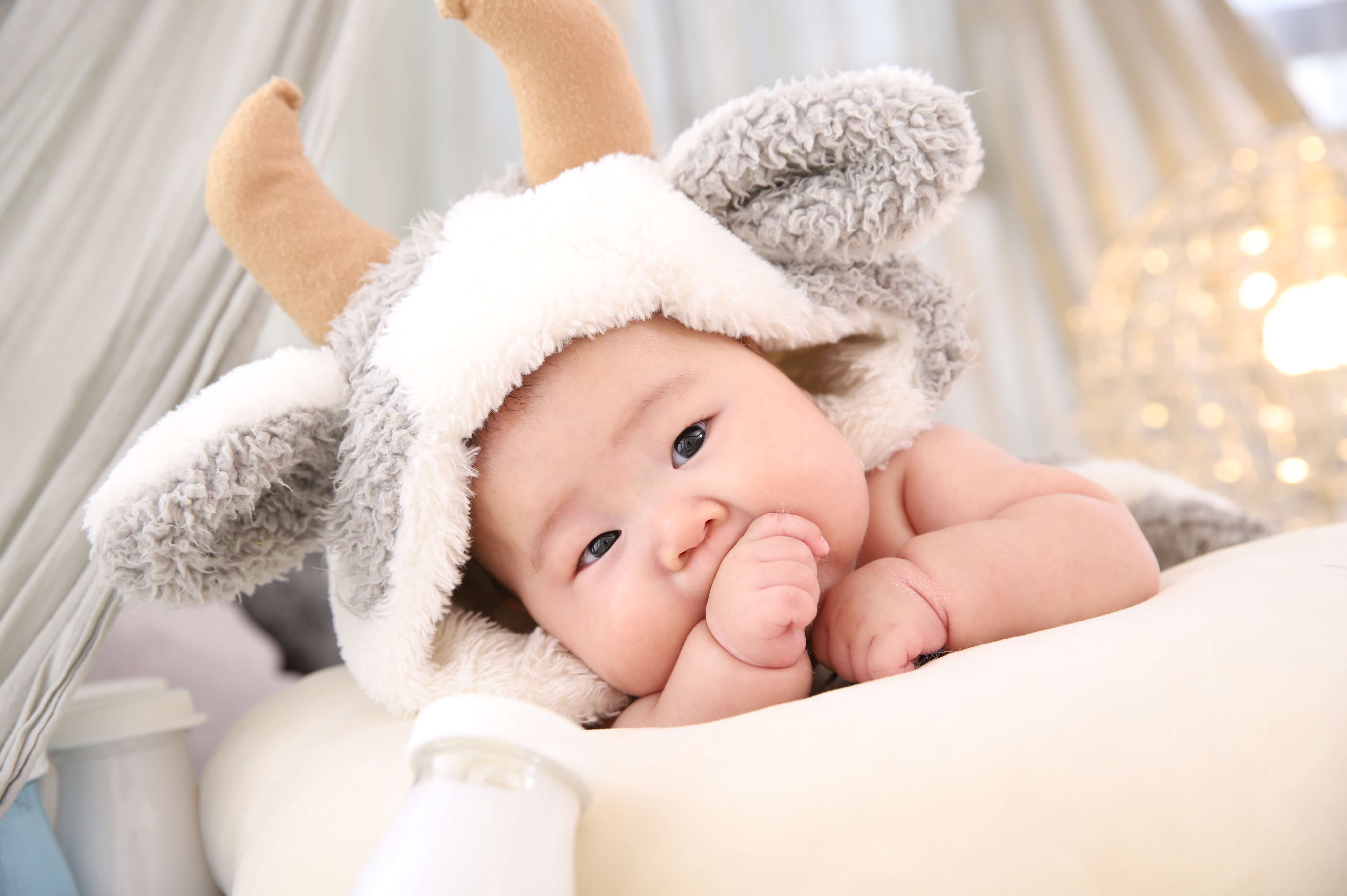 札幌西店で人気の着ぐるみ衣装をご紹介 Baby 写真工房ぱれっとbaby