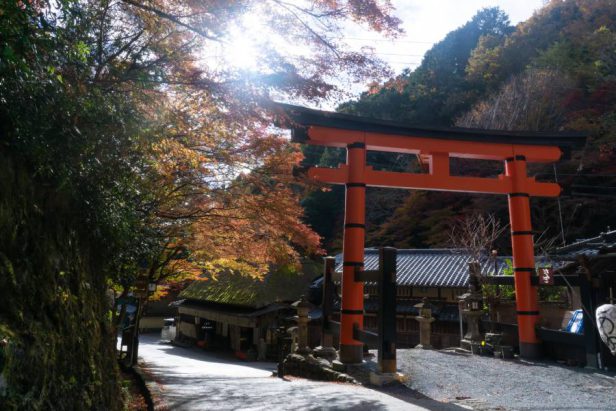 七五三　お宮参り　神社