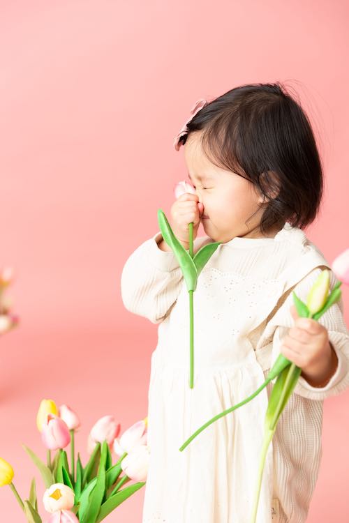 お花屋さん　ピンクペーパー