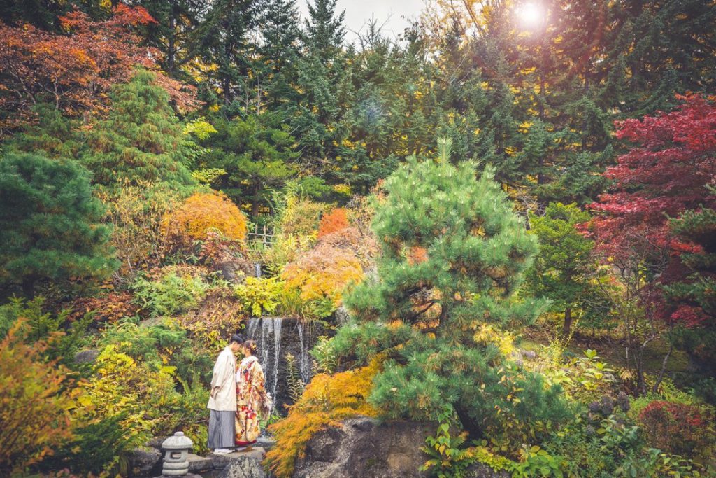 ロケーションフォト】秋に大人気！天神山緑地の魅力に迫ります！ – 写真工房ぱれっと