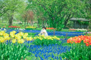 【ロケーション撮影】百合が原公園で新緑とお花がどっちも撮れちゃう欲張りロケ🌸