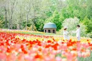 【ブライダルフェア開催中･:*】緑とお花に溢れた滝野すずらん公園でのロケーションフォトが旬です･:*