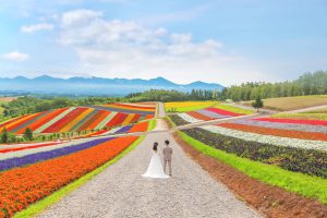 北海道×ロケーション　世界から注目の美瑛・富良野！６月〜８月にオススメのロケ地ご紹介！！