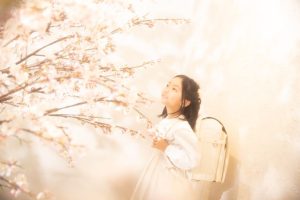 北海道写真スタジオ【卒園・入学記念】入学写真ならでは♪桜でスタジオ撮影！