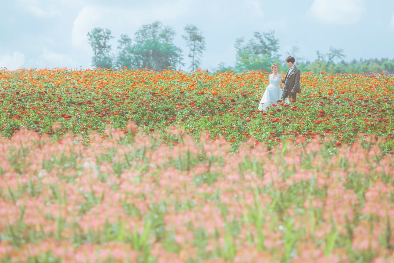 ブライダルロケーション】お花が色づく季節になってきました・:*+.｜写真工房ぱれっと旭川店