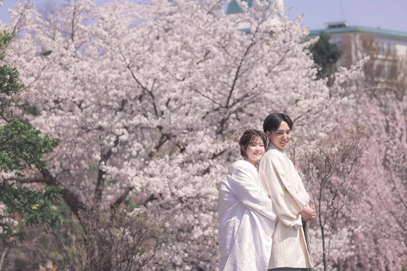 【締め切り間近！】2025年の桜ロケウェディング撮影をご検討の方はお急ぎください🌸【Palette札幌中央店】