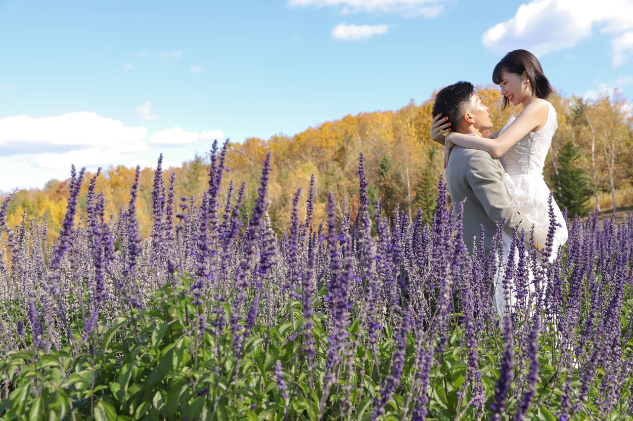 A classic of Hokkaido's spectacular scenery! Recommended spots in Furano and how to access (Sapporo⇔Furano)