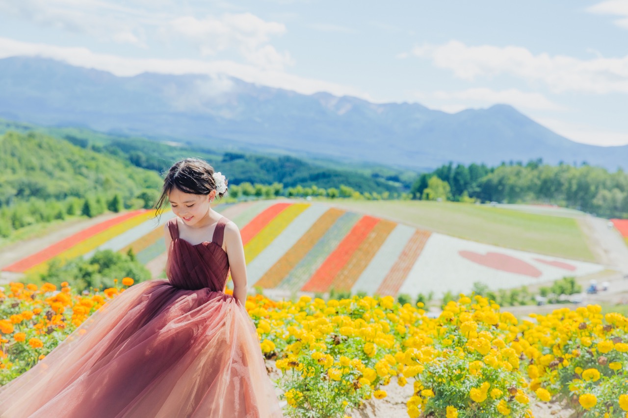 Furano & Biei summer flowers