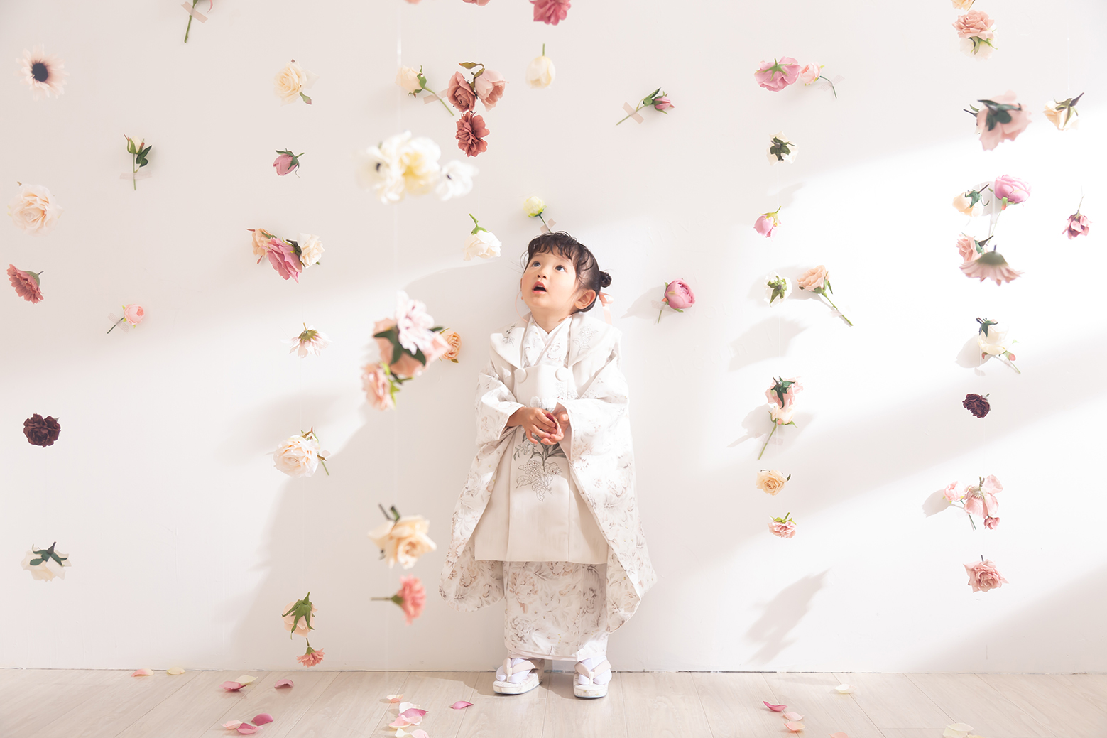 女の子　記念　撮影　スタジオ　スタジオ撮影　和装　和服　袴　振袖