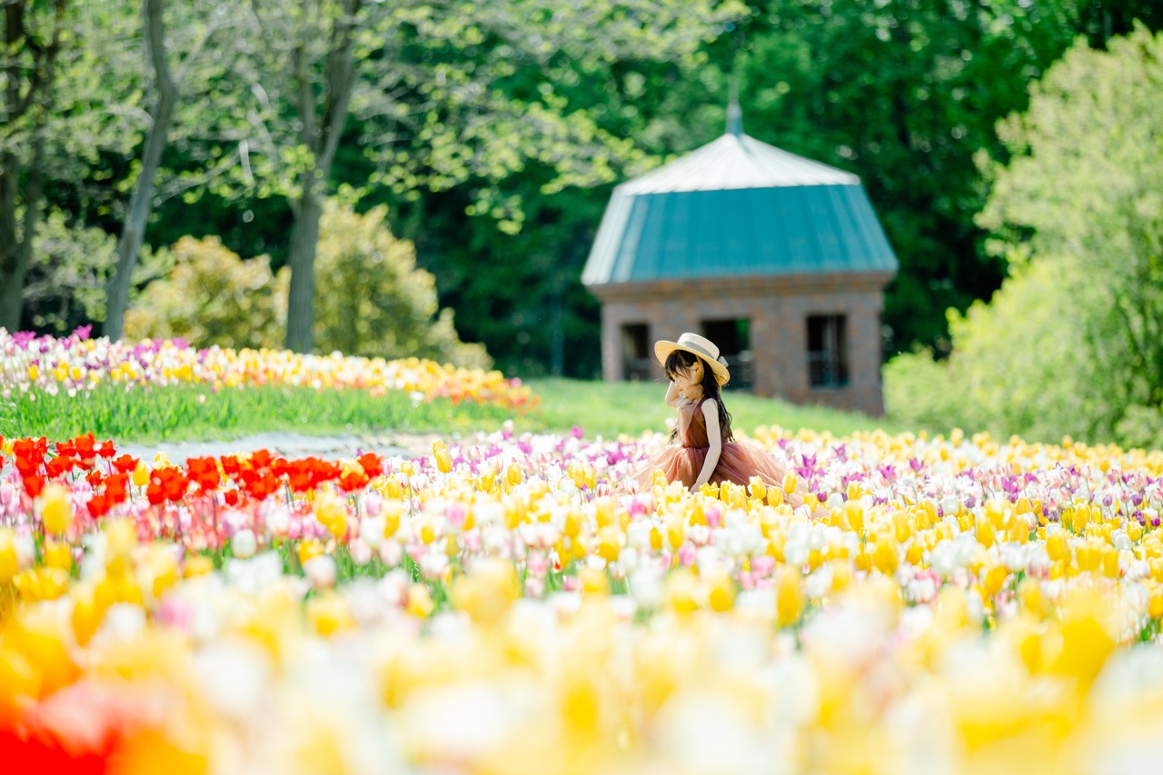 旅行　子ども　女の子
花畑