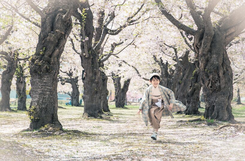 【2025年春】桜ロケーションフォト　ぱれっと函館北斗店で特別な一枚を
