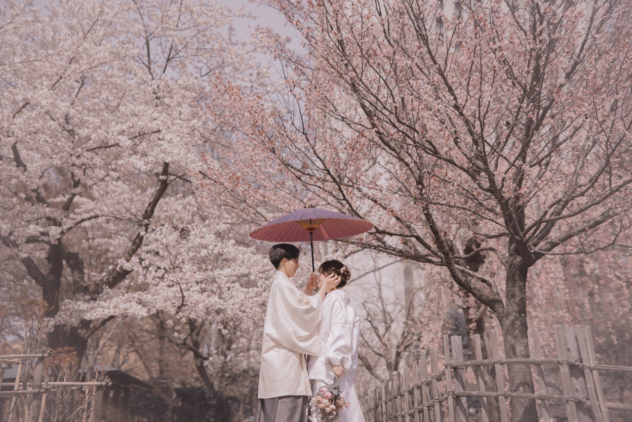 婚礼　ロケ　中島公園　桜