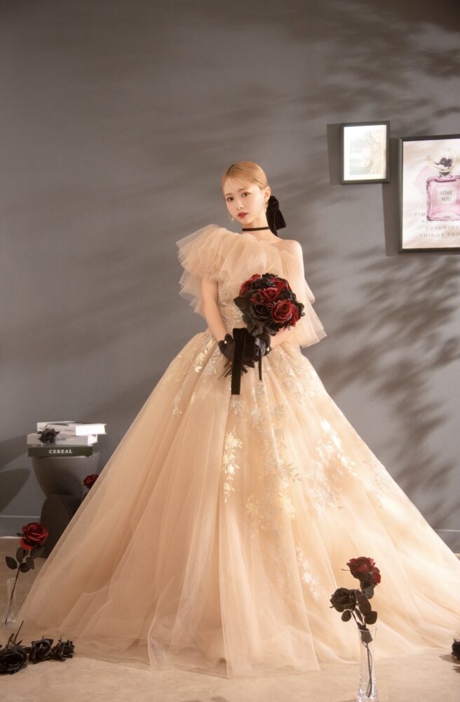 成人　二十歳　撮影　スタジオ　ドレス　女の子　女性