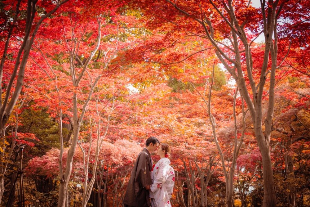 婚礼　ロケ　秋　平岡樹芸センター