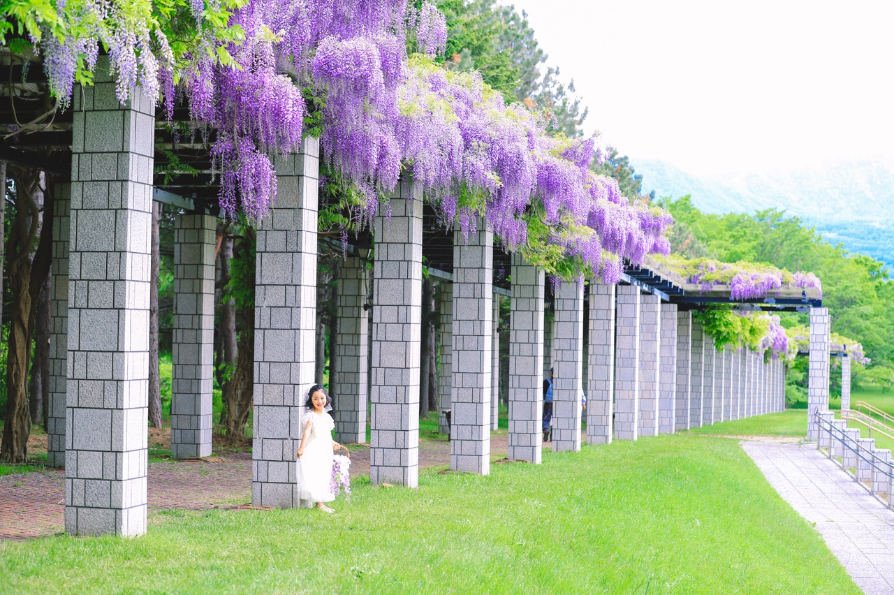 旅行　子連れ　女の子