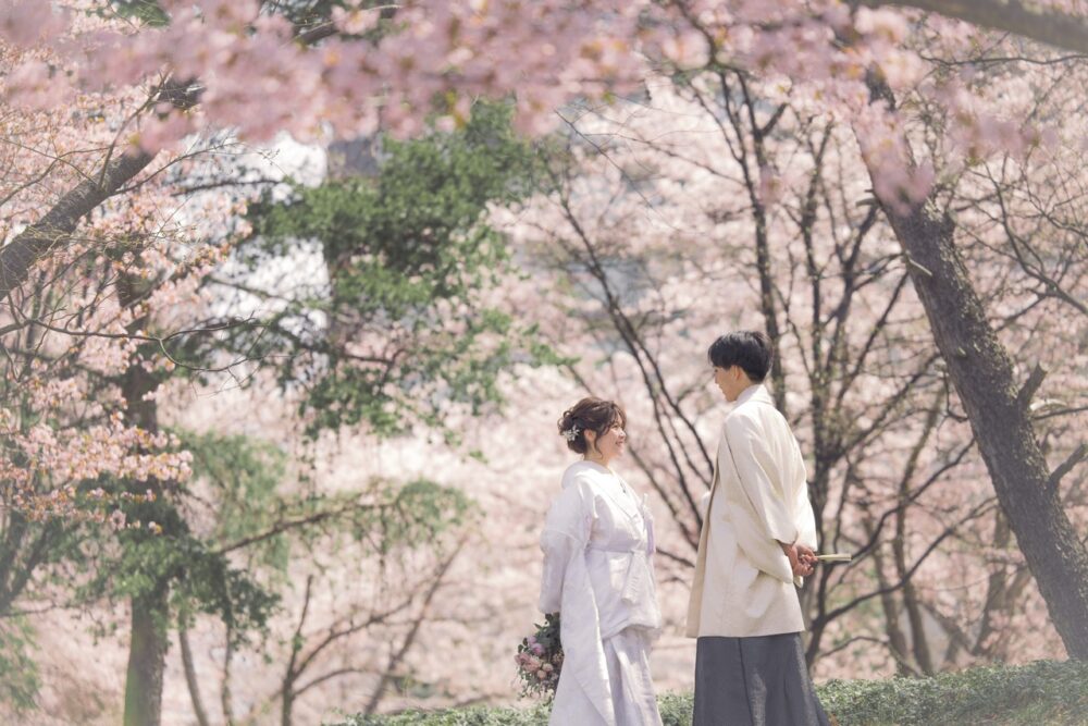 婚礼　ロケ　中島公園　桜
