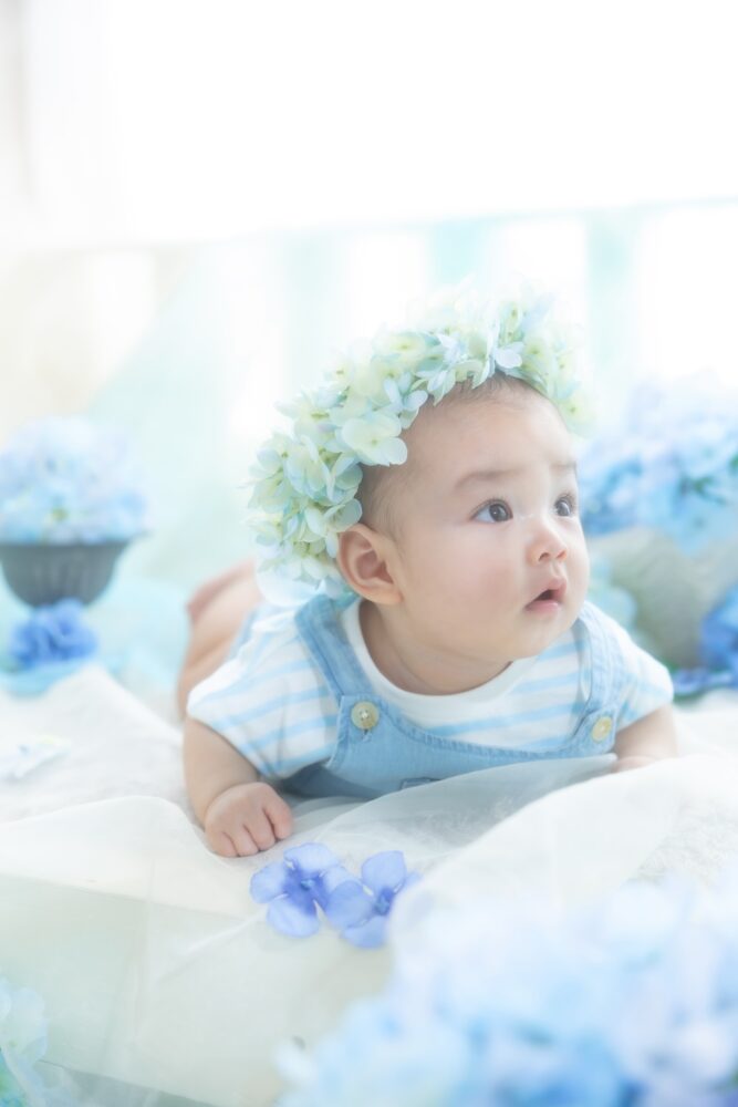 紫陽花　あじさい　夏
爽やか　1歳　１歳　ベビー　百日　100日