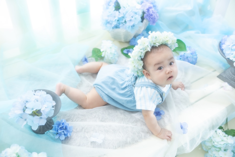 紫陽花　あじさい　夏
爽やか　1歳　１歳　ベビー　百日　100日