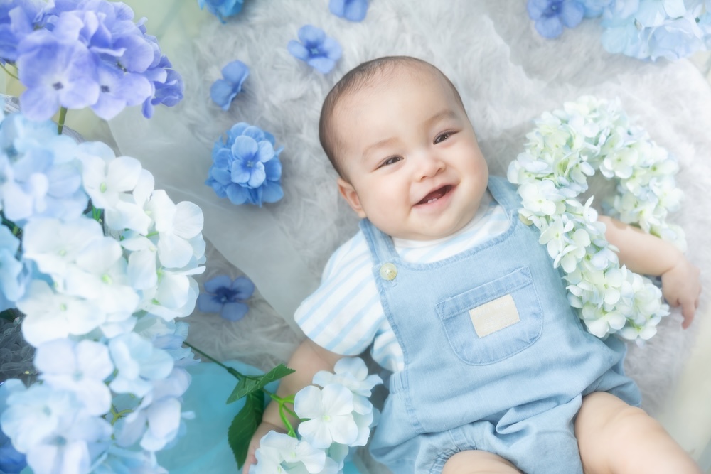 紫陽花　あじさい　夏
爽やか　1歳　１歳　ベビー　百日　100日
